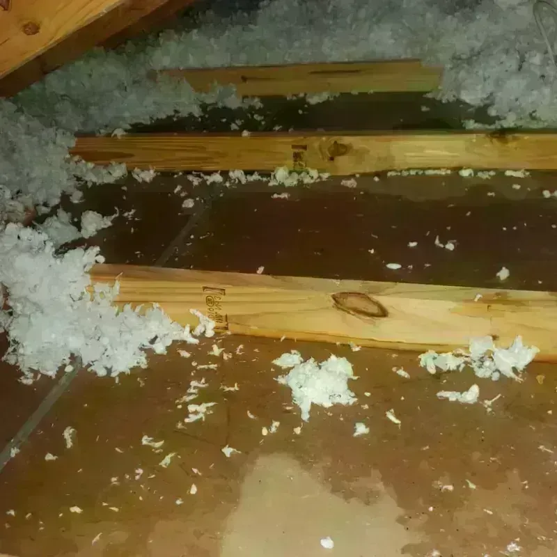 Attic Water Damage in Minco, OK